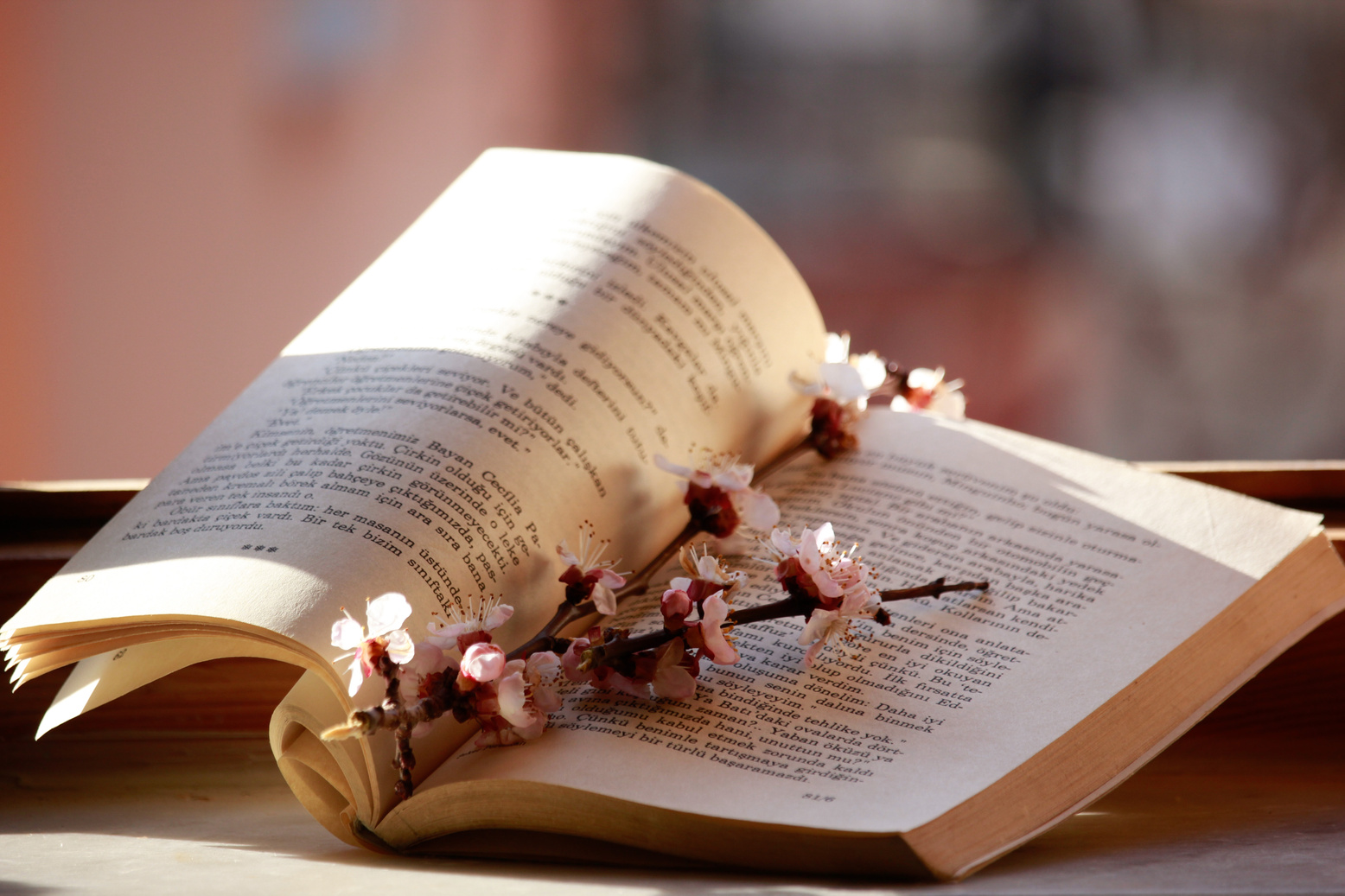 Close up of a Twig on a Book